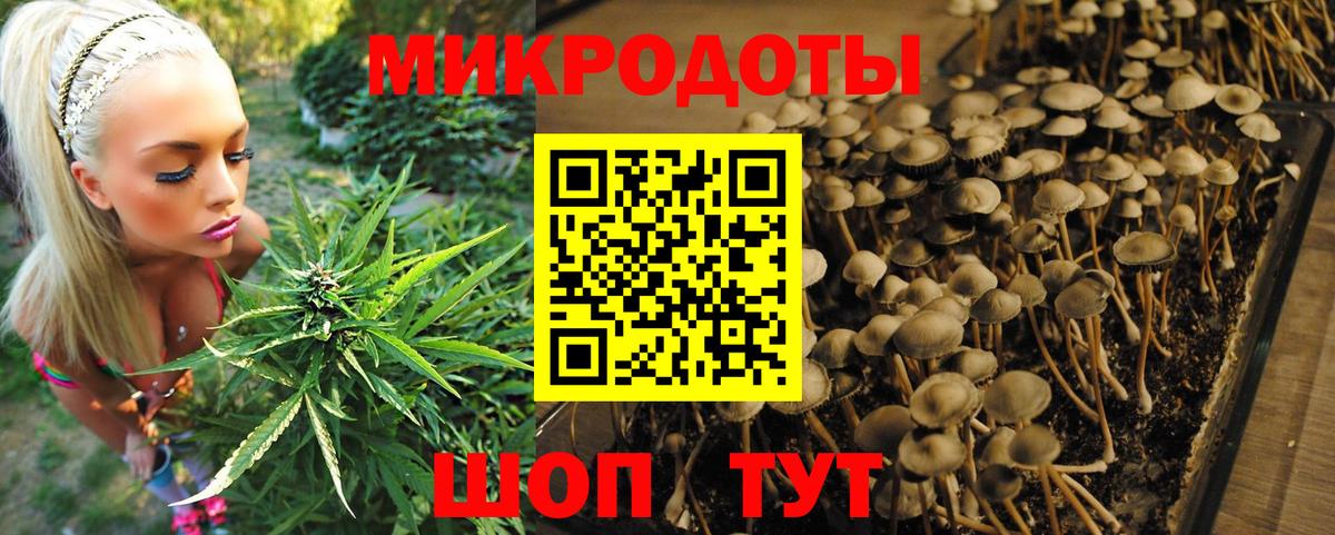 Еманжелинск  Галлюциногенные грибы мухоморы  Вход с VPN  Псилоцибиновые грибы мицелий 